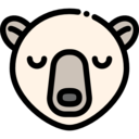 animals,wild life,animal kingdom,zoo,animal,polar bear